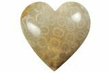 1.6" Fossil Coral Heart From Indonesia - Photo 2